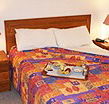 Homestead Motor Inn And Apartments - Goulburn Accommodation
