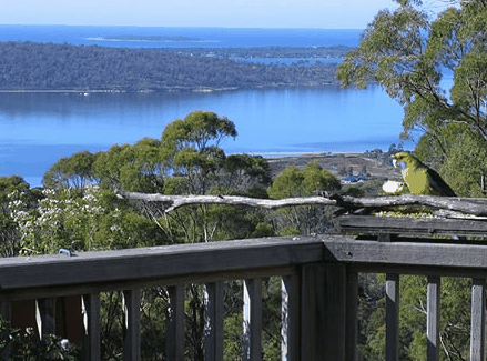 Bed in the Treetops - Goulburn Accommodation