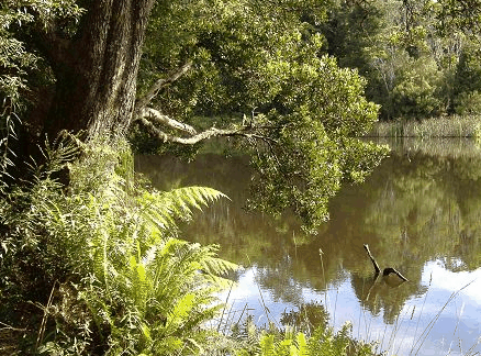 South Mount Cameron TAS Goulburn Accommodation