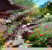 Chestnut Brook Cottage - Goulburn Accommodation