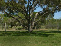 Hawks Nest Holiday Park - Goulburn Accommodation 3