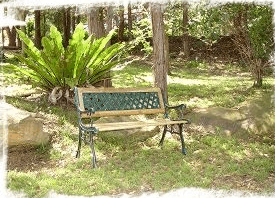 Lorikeet Cottage - Goulburn Accommodation 3