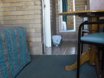 Dragon  Phoenix Motel - Goulburn Accommodation