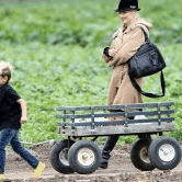 Perth City Farm Organic Markets - Goulburn Accommodation