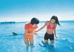 Goulburn Accommodation