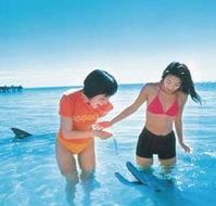 Kookaburra Air - Goulburn Accommodation