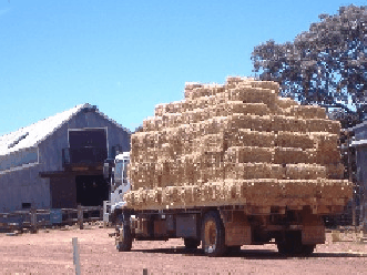 Avondale Discovery Farm - Goulburn Accommodation 1