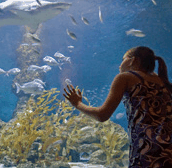 The Aquarium of Western Australia - Goulburn Accommodation