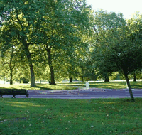 D'Aguilar National Park - Goulburn Accommodation