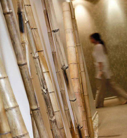 Spa Nirvana - Goulburn Accommodation 0