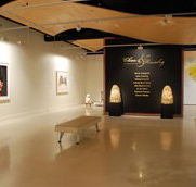 Counihan Gallery In Brunswick - Goulburn Accommodation