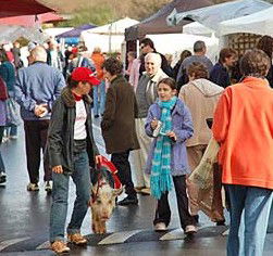  Goulburn Accommodation