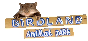 Birdland Animal Park - Goulburn Accommodation
