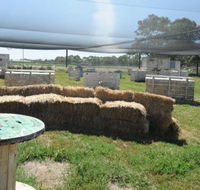 We Are Paintball - Goulburn Accommodation