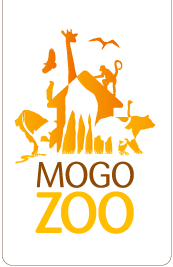 Mogo Zoo - Goulburn Accommodation