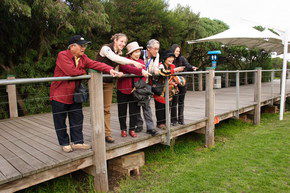 Phillip Island Penguin Parade - Goulburn Accommodation 1