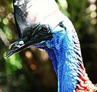 Alma Park Zoo - Goulburn Accommodation