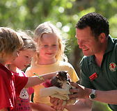 Cleland Wildlife Park - Goulburn Accommodation