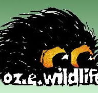 OZe Wildlife - Goulburn Accommodation
