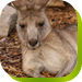  Goulburn Accommodation
