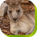Calmsley Hill City Farm - Goulburn Accommodation 0