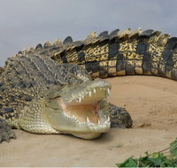 Dundee's Wildlife Park - Goulburn Accommodation