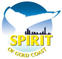 Spirit of Gold Coast Whale Watching - Goulburn Accommodation