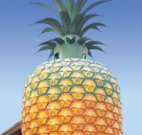 The Big Pineapple - Goulburn Accommodation