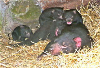 Goulburn Accommodation