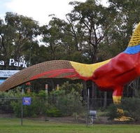 Gumbuya Park - Goulburn Accommodation