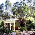 Koala Conservation Centre - Goulburn Accommodation 1