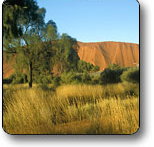 Uluru - Kata Tjuta National Park - Goulburn Accommodation