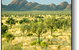 Uluru - Kata Tjuta National Park - thumb 2
