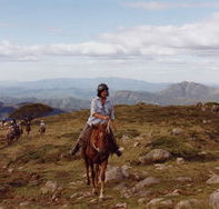 High Country Horses - Goulburn Accommodation