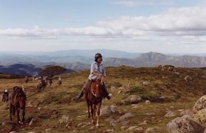 High Country Horses - Goulburn Accommodation 0