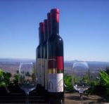 Mount Tamborine Winery  Homestead - Goulburn Accommodation
