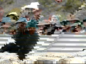 Goulburn Accommodation