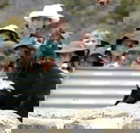 Tasmania Zoo - Goulburn Accommodation