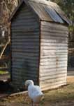 Wagga Wagga Zoo - Goulburn Accommodation 2