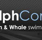 Dolphcom - Dolphin  Whale Swimming Adventures - Goulburn Accommodation