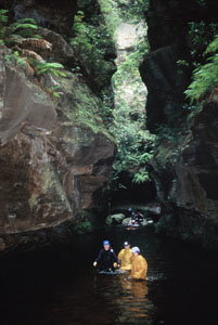 High And Wild Mountain Adventures - Goulburn Accommodation 1