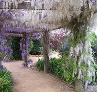 Abingdon Miniature Village - Goulburn Accommodation