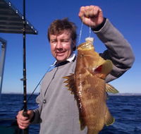 Downunder Charters - Goulburn Accommodation