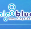 Ningaloo Blue Dive - Goulburn Accommodation