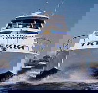 Sunshine Coast Fishing Charters - Goulburn Accommodation