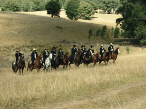 McCormacks Mountain Valley Trail Rides - Goulburn Accommodation