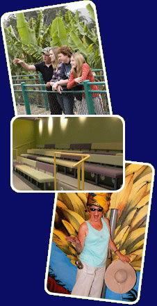 Big Banana - Goulburn Accommodation 2