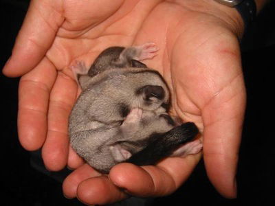  Goulburn Accommodation