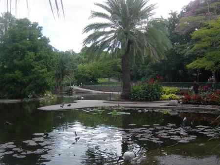 Brisbane City Botanic Gardens - Goulburn Accommodation 0