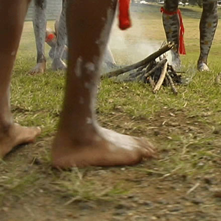 Musgrave Park Cultural Centre - Goulburn Accommodation 1